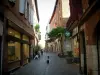Albi - Calle peatonal, tiendas, casas de ladrillo y el ayuntamiento (alcaldía)