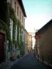 Albi - Rue de Toulouse-Lautrec, con casas y Lapérouse casa