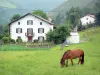 Aldudes valley - Horse in a meadow, garden, and houses surrounded by trees; in the Basque Country