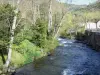 Alet-les-Bains - River Aude lined with trees