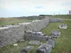 Alise-Sainte-Reine - Site archéologique d'Alésia : vestiges gallo-romains