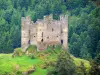 Alleuze Castle - Tourism, holidays & weekends guide in the Cantal