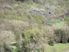 Allier gorges - Wild and green landscape