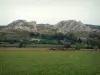 Alpilles mountain range - Meadow, trees and Alpilles limestone mountain range