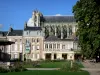 Amiens - Catedral de Notre Dame, de estilo gótico, las casas, la plaza con flores y césped