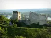 Les Andelys - Vestiges de Château-Gaillard (forteresse médiévale perchée) dominant la vallée de la Seine (fleuve Seine)