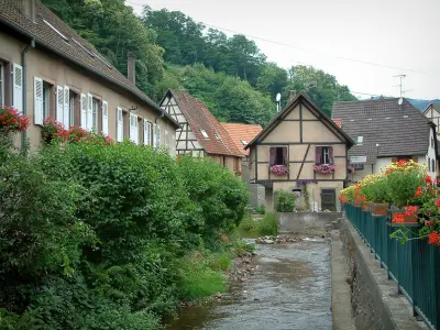 フランスの美しい村 ガイド 写真 観光情報