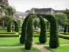 Angers - Garden of the castle (lawns, cut shrubs)