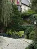 Angers - Houses, lamppost, trees, shrubs and paved ground