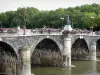 Angers - Verdun bridge with statue of Nicolas de Beaurepaire, lampposts and flowers, Maine river and trees