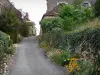 Angles-sur-l'Anglin - Village carriles llena de flores y casas