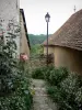 Angles-sur-l'Anglin - Roses (rosebush), flowers, lamppost and houses of the village