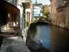 Annecy - Pássaro aquático ao longo do canal Thiou e casas