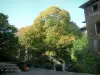 Annecy - Berge com um poste de luz, casas e árvores