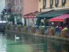Annecy - Thiou canal with a swan (water bird), flowers, quayside (bank), restaurants and houses with colourful facades