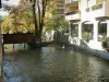 Annecy - Thiou Canal com um cisne (ave aquática), bloqueio, edifícios e árvores nas cores do outono