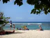 Anse-Bertrand - Descansando en la final de la Capilla arena de la playa, con vistas al Mar Caribe
