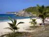 Anse-Bertrand - Beach of the Laborde cove with its white sand, its palm trees and its view of the cliffs