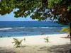 Anse-Bertrand - Playa de arena blanca de Anse Laborde vista al Mar Caribe