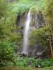 Anse des Cascades cove - Waterfall surrounded by vegetation
