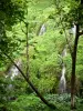 Anse des Cascades cove - Small waterfalls in a green setting