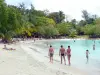 Anse Figuier - Relaxing on the sandy beach and swimming in the Caribbean Sea