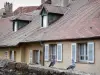 Arbois - Two pigeons on a low wall and houses with attic windows