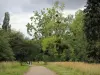 Arboreto de Versalhes-Chèvreloup - Caminhe no coração do Arboretum