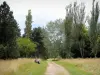 Arboreto de Versalles-Chèvreloup - Camino por el arboreto