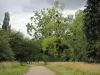 Arboreto de Versalles-Chèvreloup - Camina en el corazón del Arboretum