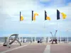 Arcachon - Flags at the entrance to the Thiers pier