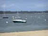 Arcachon bay - View of the Arcachon bay and its boats on the water 
