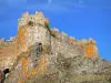 Arlempdes - Vestiges du château médiéval