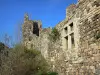 Arlempdes - Ruines du château médiéval