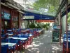 Arles - Boulevard des Lices con sus cafés al aire libre y plátanos