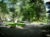 Arles - Jardín de verano adornado con flores y árboles