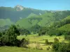 Aspe valley - Pastures of the Béarn valley surrounded by mountains