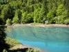 Aspe valley - Anglus lake surrounded by trees