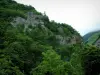 Aspe valley - Portalet fort surrounded by greenery