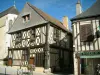 Aubigny-sur-Nère - Tourism, holidays & weekends guide in the Cher