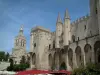 Avignon - Papas Palacio y Catedral de Notre-Dame-des-Doms