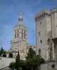 Avignon - Papas Palacio y Catedral de Notre-Dame-des-Doms