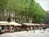 Avignon - Place de l'Horloge, con sus cafés al aire libre y plátanos