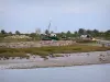 Bahía de Somme - Naufragios, rocas, hierba, gaviotas sobre la arena