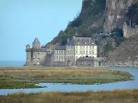 Guia mostra como funciona a areia movediça, que está por todo caminho –  Foto de Découverte de la Baie du Mont Saint Michel, Genets - Tripadvisor