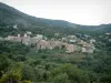 Balagne region - Hilltop village of Cateri surrounded by trees