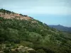 Balagne region - Village of Occiatana perched on a hill dotted with trees