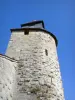 Bar-le-Duc - Torre del Reloj, restos del antiguo castillo ducal