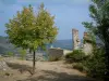 Bargème - Trees, shrubs, stone house of the village with view of hills (Verdon Regional Nature Park)