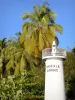 Barque cove - Lighthouse of the Barque cove and its coconut trees